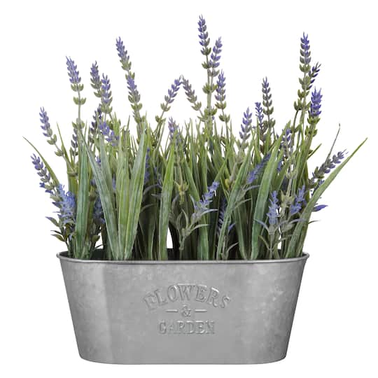 Haute Decor 10&#x22; Lavender In Galvanized Metal Pot